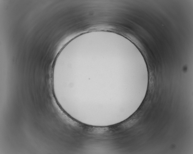 X0000115241055200912111050