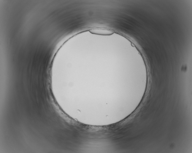 X0000115241056200912111050