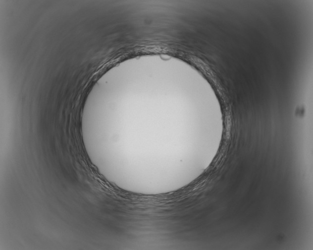 X0000115241057200912111049