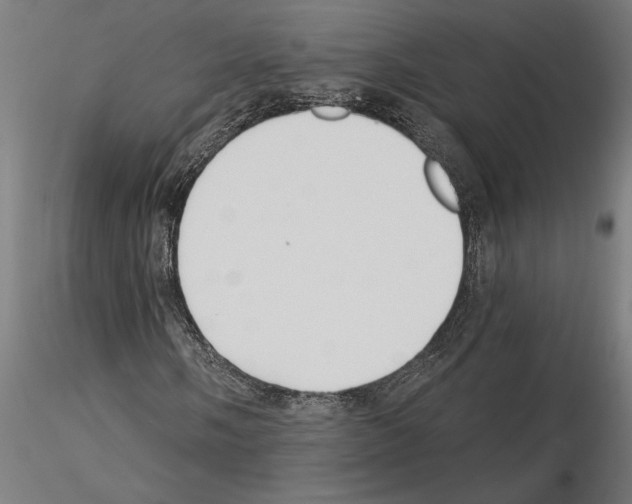 X0000115241058200912111049