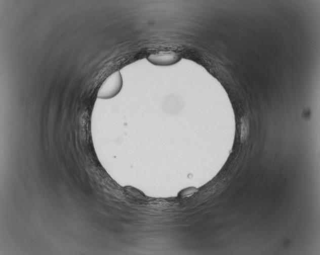 X0000115241059200912111049