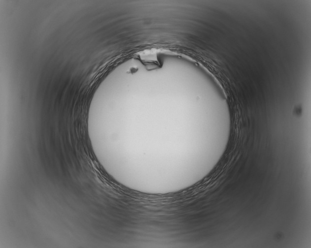 X0000115241060200912111049