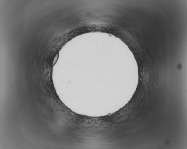 X0000115241061200912111049