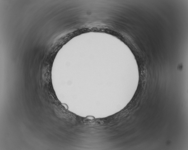 X0000115241063200912111049