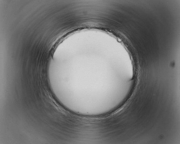 X0000115241065200912111049