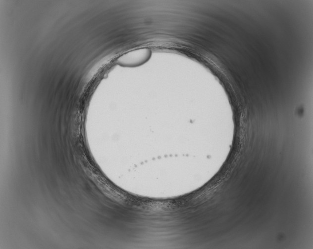 X0000115241067200912111049