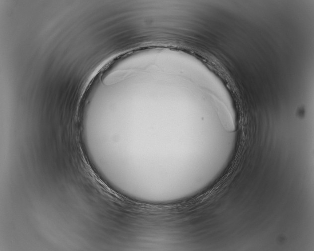 X0000115241068200912111049