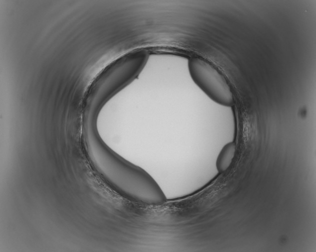 X0000115241069200912111049