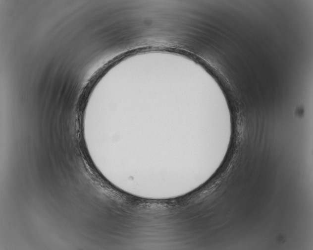 X0000115241070200912111049