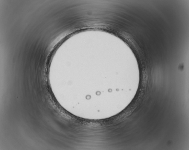 X0000115241071200912111049