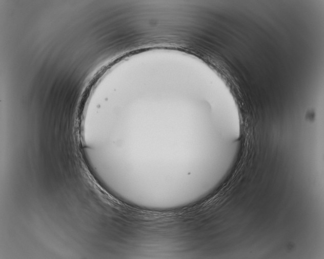 X0000115241072200912111049