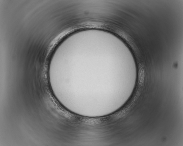 X0000115241074200912111049