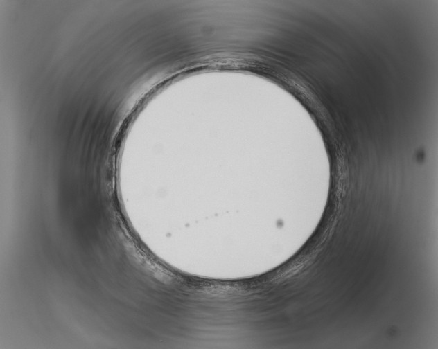 X0000115241075200912111049