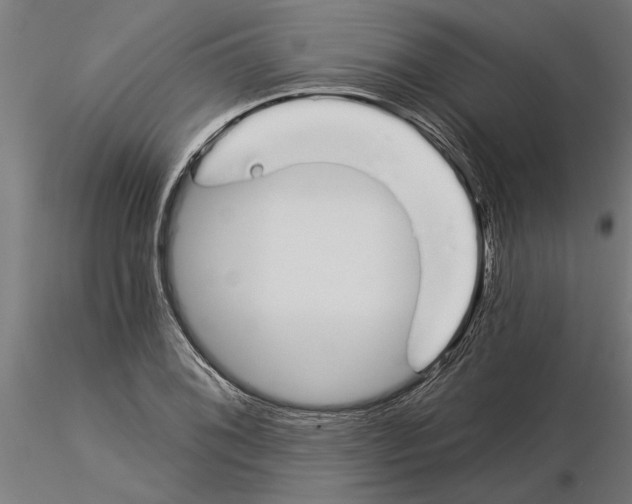 X0000115241076200912111049