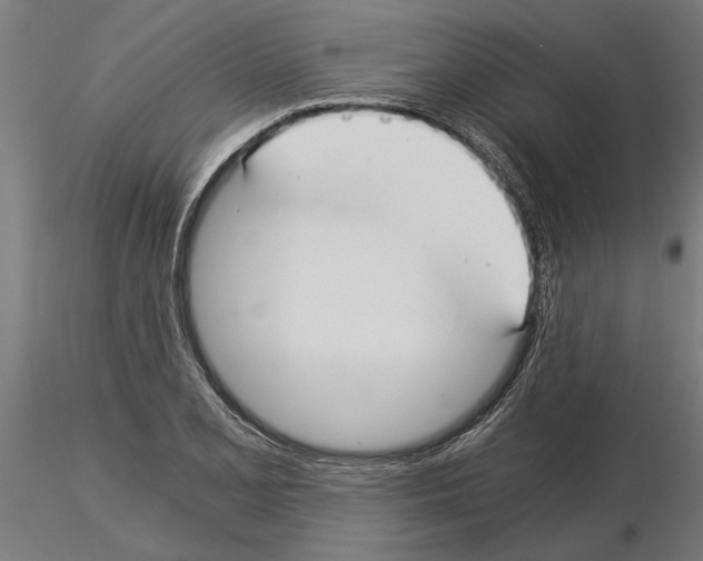 X0000115241077200912111049