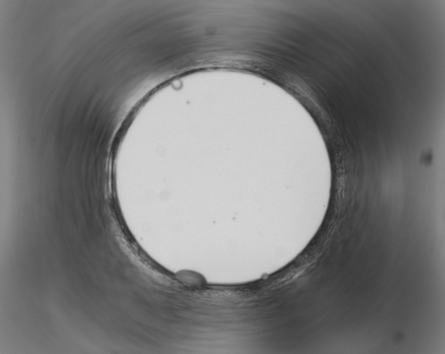 X0000115241079200912111049