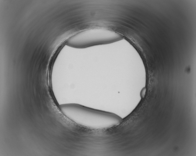 X0000115241080200912111049