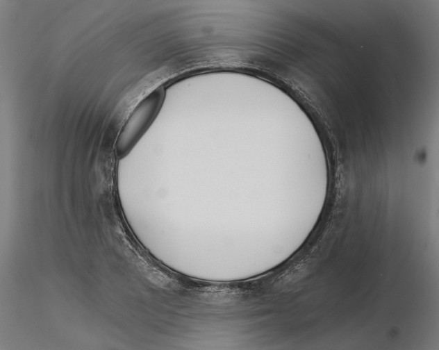 X0000115241081200912111049