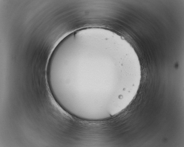 X0000115241084200912111049