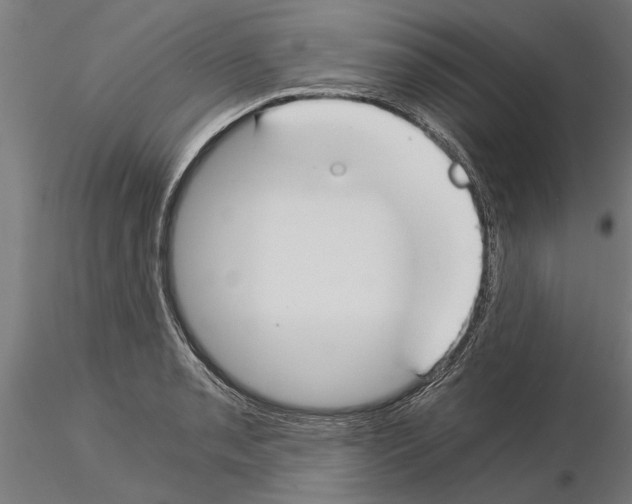 X0000115241085200912111049