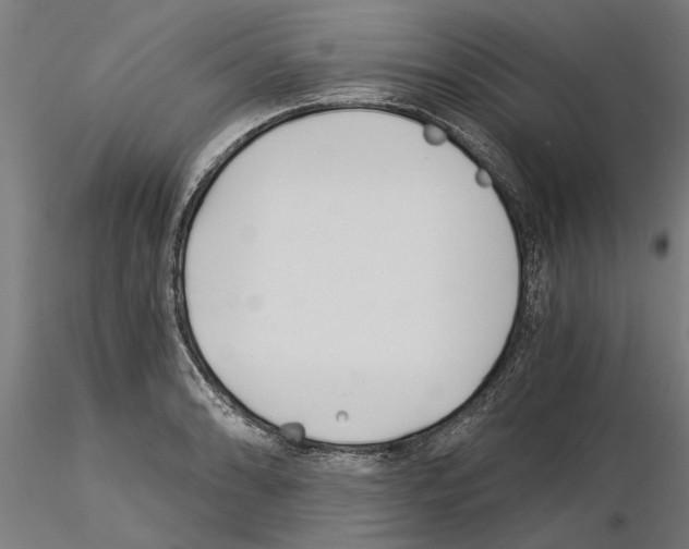 X0000115241086200912111049