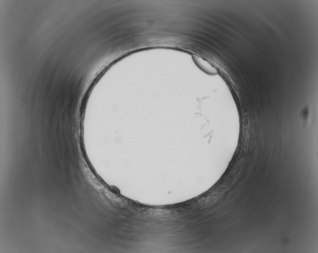 X0000115241088200912111049