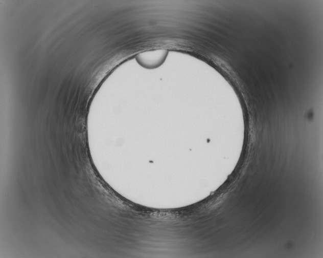 X0000115241089200912111049