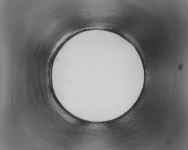 X0000115241091200912111049