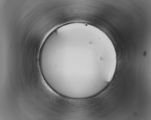 X0000115241092200912111049