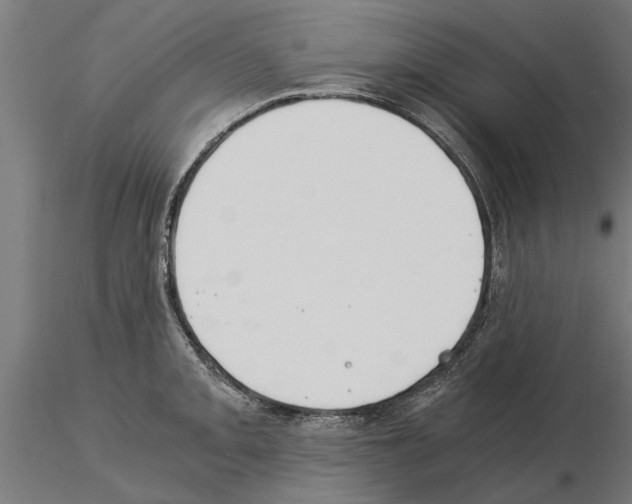 X0000115241093200912111049