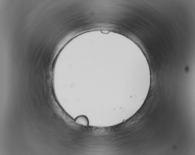 X0000115241099200912111049