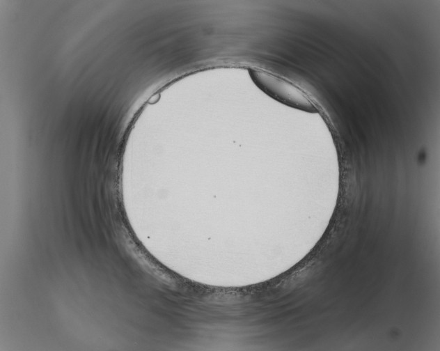 X0000115241100200912111048