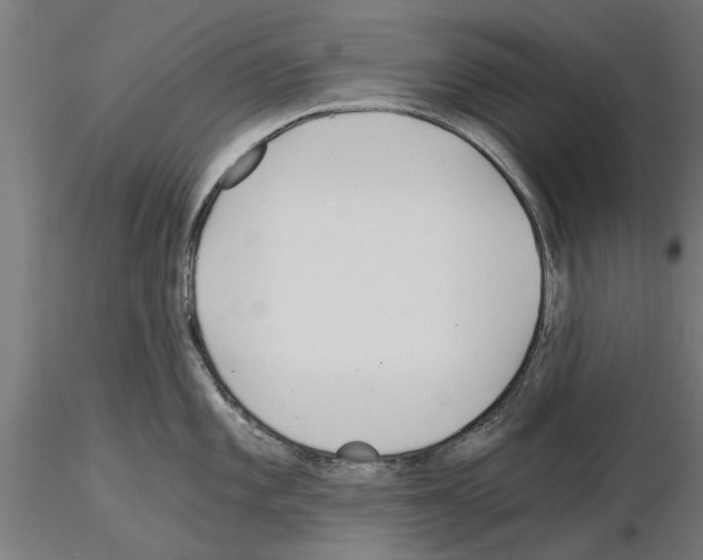 X0000115241101200912111048