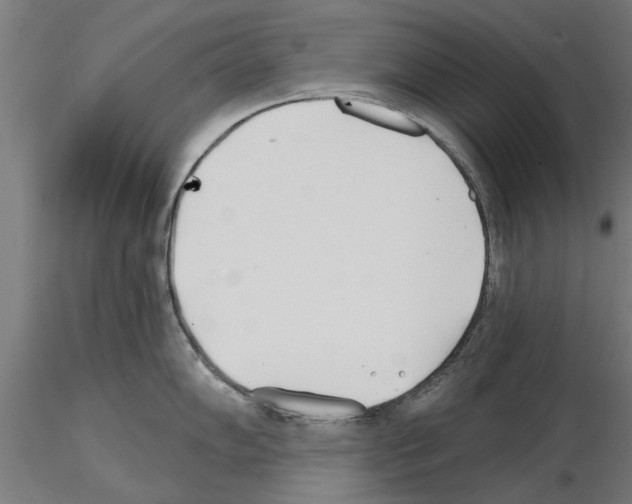 X0000115241102200912111048