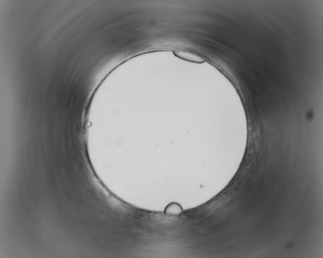 X0000115241103200912111048