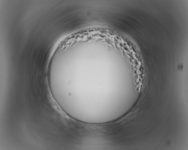 X0000115241104200912111048