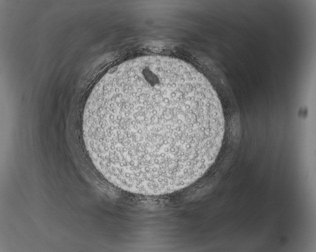 X0000115241105200912111048