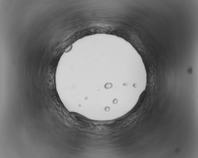 X0000115241109200912111048