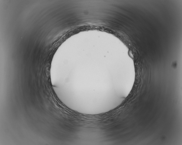 X0000115241110200912111048