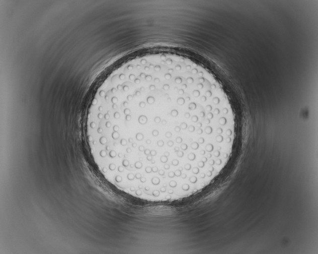 X0000115241113200912111048