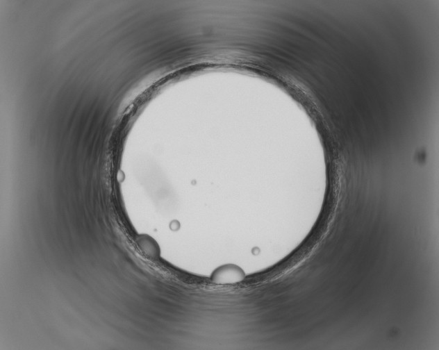 X0000115241114200912111048