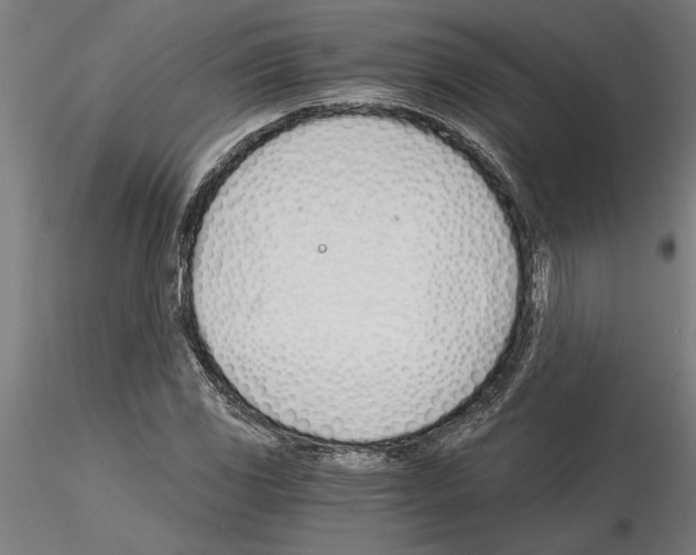 X0000115241117200912111048