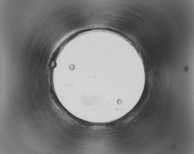 X0000115241118200912111048