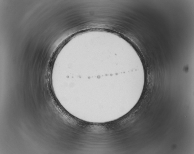 X0000115241119200912111048