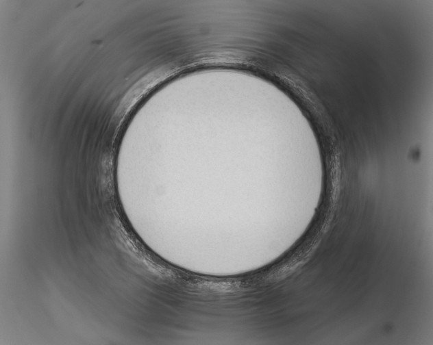 X0000115241121200912111048