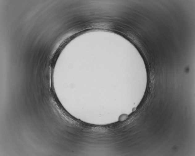 X0000115241123200912111048