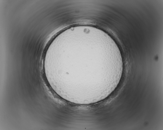 X0000115241125200912111048