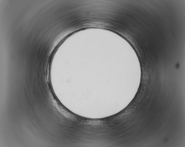 X0000115241131200912111048