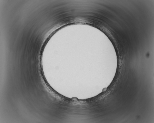 X0000115241133200912111048