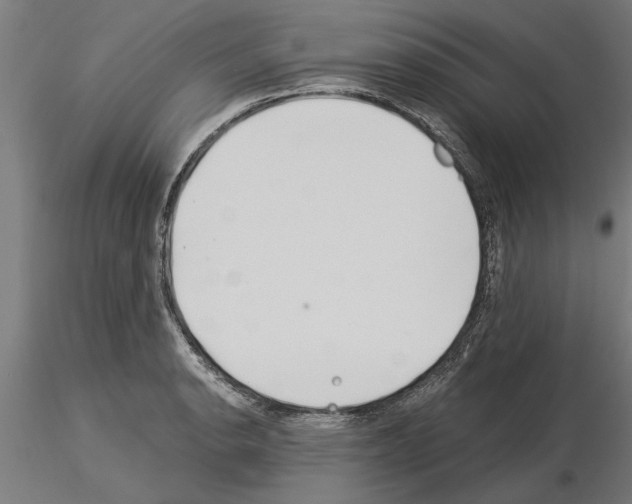 X0000115241134200912111048